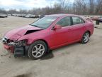 2004 Acura Tsx, auction photograph