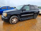 2005 Chevrolet Trailblazer Ls, auction photograph