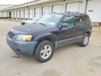 2005 Ford Escape, auction photograph