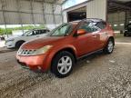 2005 Nissan Murano, Copart US lot 56137136: photo 1, Hail