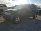 2008 Ford Escape XLT, Copart US lot 41745534: photo 1, Side