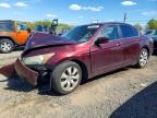 2008 Honda Accord Exl, auction photograph