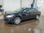 2008 Toyota Camry Xle V6, auction photograph