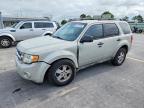 2009 Ford Escape XLT, Copart US lot 55519456: photo 1, Front End