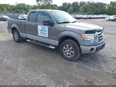 2009 Ford F-150 XLT, IAA US lot 46200658: auction vehicle photo