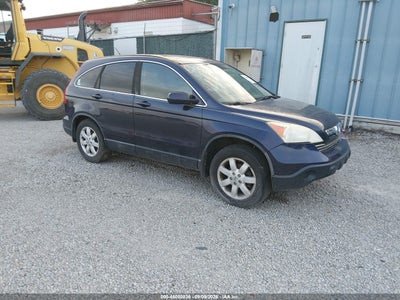 2009 Honda Cr-V Ex-L, IAA US lot 46050836: auction vehicle photo