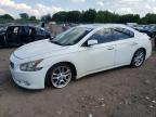 2009 Nissan Maxima S, auction photograph