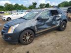 2010 Cadillac Srx Performance Collection, auction photograph