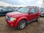 2010 Ford Escape XLT, auction photograph