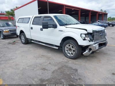 2010 Ford F-150 Fx4/Harley-Davidson/King Ranch/Lariat/Platinum/Xl/Xlt, IAA US lot 45136109: auction vehicle photo