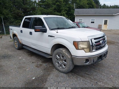 2010 Ford F-150 Fx4/Harley-Davidson/King Ranch/Lariat/Platinum/Xl/Xlt, IAA US lot 46074041: auction vehicle photo