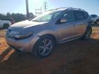2010 Nissan Murano S, auction photograph