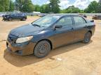 2010 Toyota Corolla LE, Copart US lot 55589256: photo 1, Front End