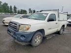 2010 Toyota Tacoma, auction photograph