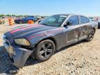 2013 Dodge Charger SE, Copart US lot 53186216: photo 1, Side