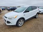 2013 Ford Escape SE, auction photograph