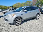 2013 Ford Escape Sel, auction photograph