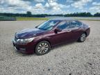 2013 Honda Accord Exl, auction photograph