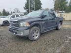 2013 Ram 1500 Slt, Copart US lot 48360126: photo 1, Vandalism
