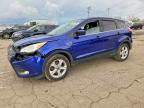 2014 Ford Escape SE, Copart US lot 49059726: photo 1, Hail