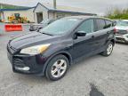 2014 Ford Escape SE, auction photograph