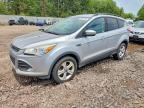 2014 Ford Escape SE, auction photograph