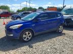 2014 Ford Escape SE, auction photograph