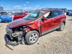 2014 Ford Escape SE, auction photograph