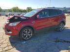 2014 Ford Escape Titanium, auction photograph