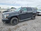 2015 Chevrolet Tahoe Police, Copart US lot 54313776: photo 1, Hail