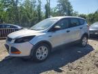 2015 Ford Escape S, auction photograph