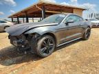 2015 Ford Mustang Svt, auction photograph