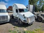 2015 Freightliner Cascadia Semi Truck, auction photograph