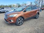 2017 Ford Escape SE, auction photograph