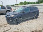 2019 Ford Escape SE, auction photograph