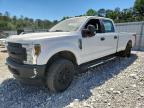 2019 Ford F250 Super Duty, Copart US lot 49316816: photo 1, Vandalism