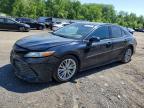 2019 Toyota Camry Xle V6, auction photograph