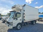 2020 Hino 195 Refrigerated Box Truck, auction photograph
