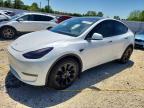 2020 Tesla Model Y, Copart US lot 53034696: photo 1, Hail