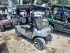 2021 Evolution 357Cc Golf Cart, auction photograph