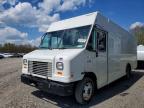 2021 Ford F59 Delivery Truck, Copart US lot 52148286: photo 1, Normal Wear