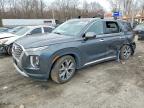 2021 Hyundai Palisade Sel, Copart US lot 47746326: photo 1, Side
