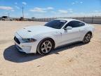 2022 Ford Mustang, auction photograph