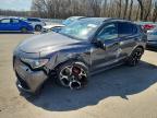 2023 Alfa Romeo Stelvio Ti, Copart US lot 48484336: photo 1, Side