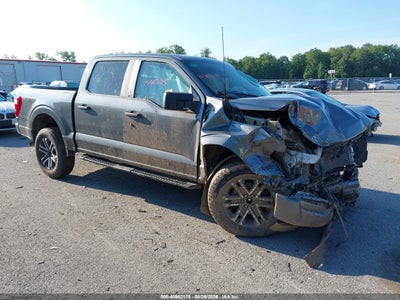 2023 Ford F-150 XL, IAA US lot 45962175: auction vehicle photo