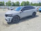 2023 Kia Sorento Sx, Copart US lot 52341206: photo 1, Front End