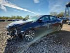 2023 Nissan Maxima Sv, auction photograph