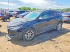 2024 Ford Escape Active, auction photograph