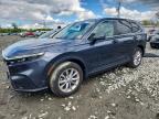 2024 Honda Cr-V Exl, auction photograph