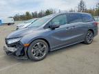 2024 Honda Odyssey Elite, Copart US lot 52569236: photo 1, Front End